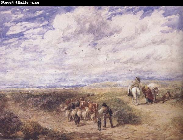 David Cox Keep the Left Road (mk47)